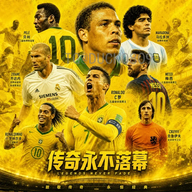 最新2026年国际足联世界杯主办城市一览